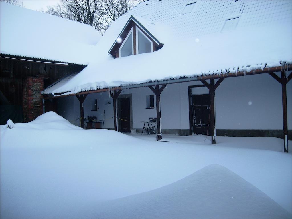 Hotel Penzion U Dvojice Nove Mesto na Morave Exterior foto