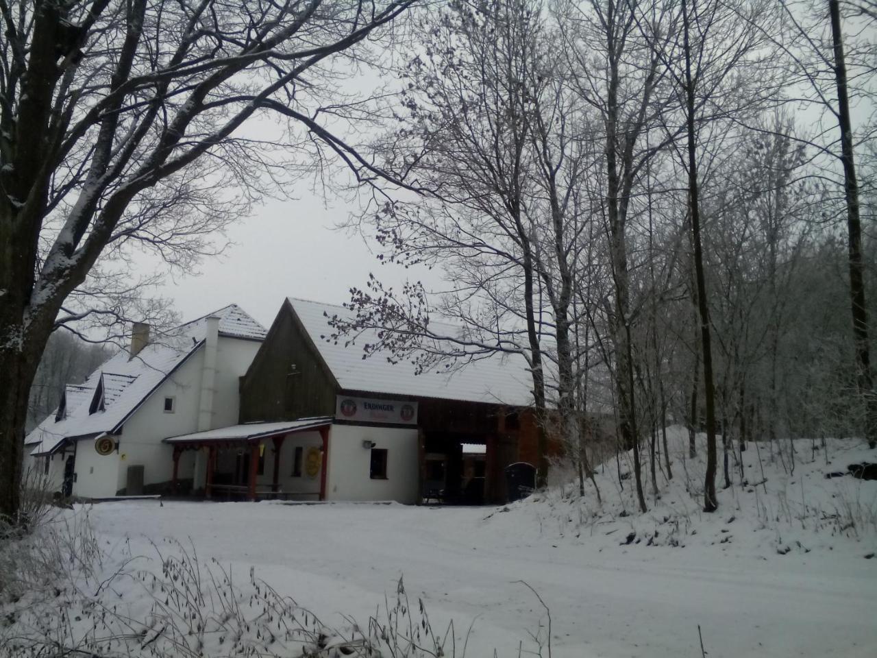 Hotel Penzion U Dvojice Nove Mesto na Morave Exterior foto